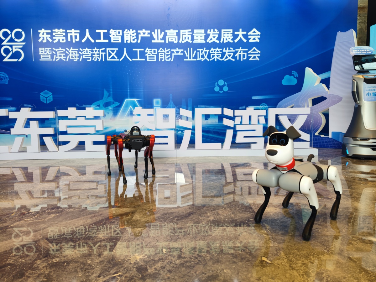 AI wave sweeps Dongguan, unlocking new visions of smart living